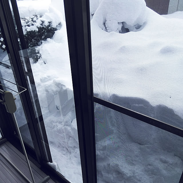 satoさんの実例写真