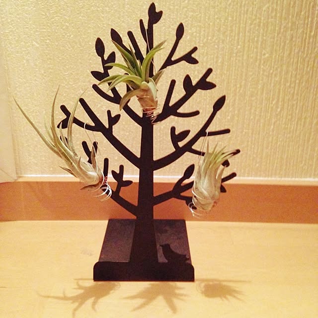 hikariさんの実例写真