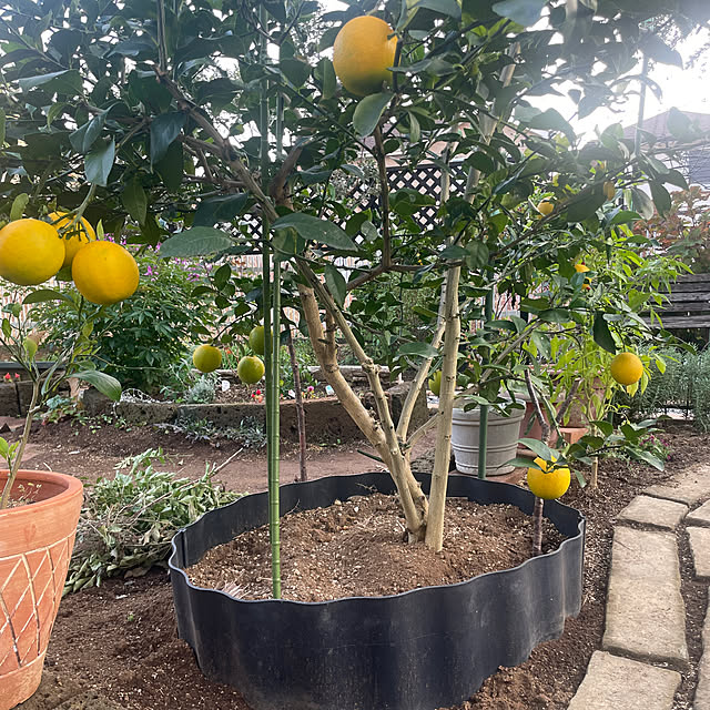 yunroomさんの部屋