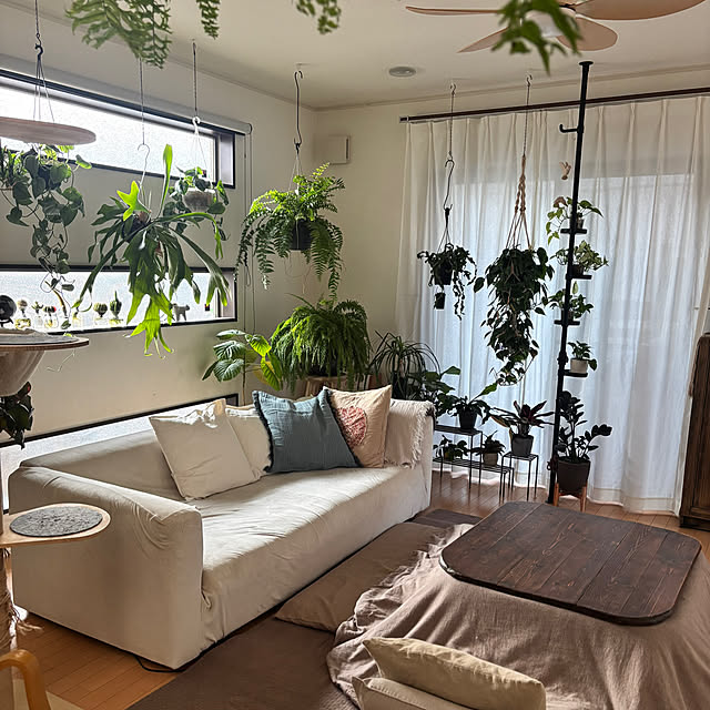 greycatsさんの実例写真