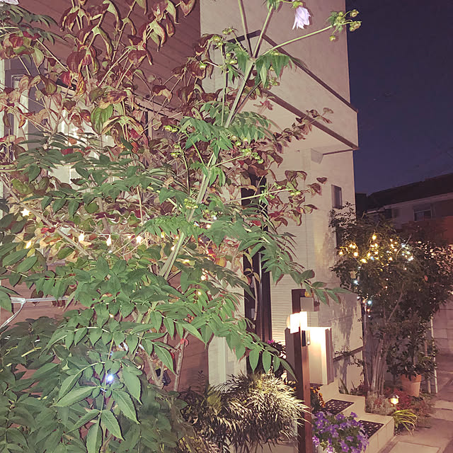 xiaohuai7788さんの実例写真