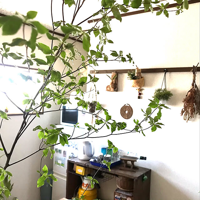 apiさんの実例写真