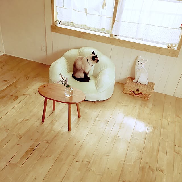 mintcatさんの実例写真