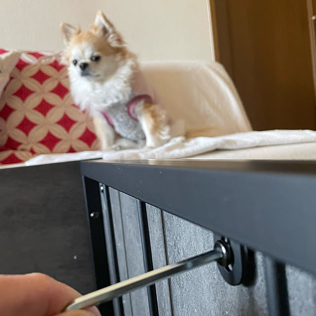 natsumiさんの部屋