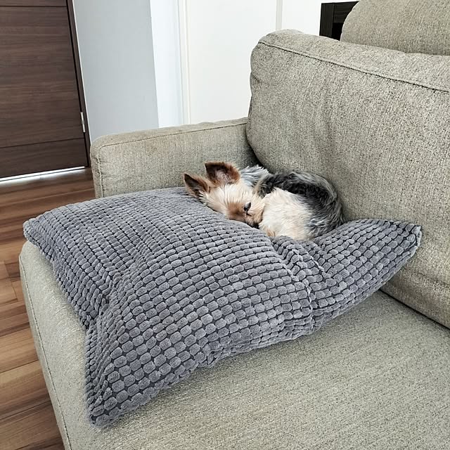 coco0.84.さんの部屋