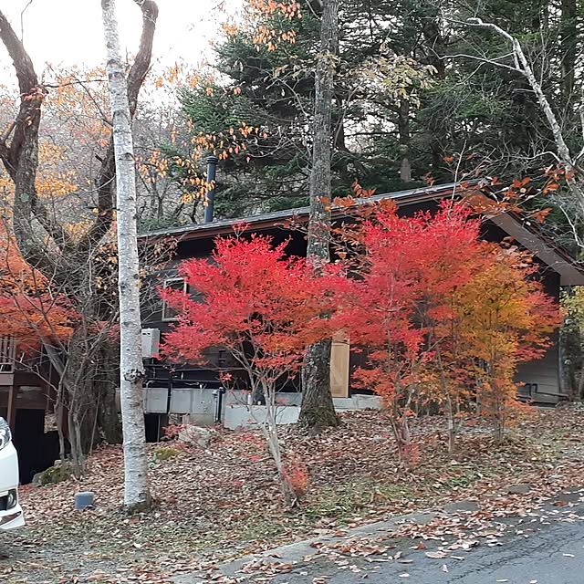 lovehome438さんの実例写真