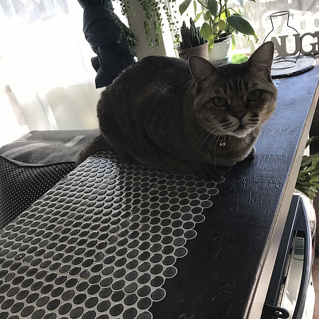 mokaさんの実例写真