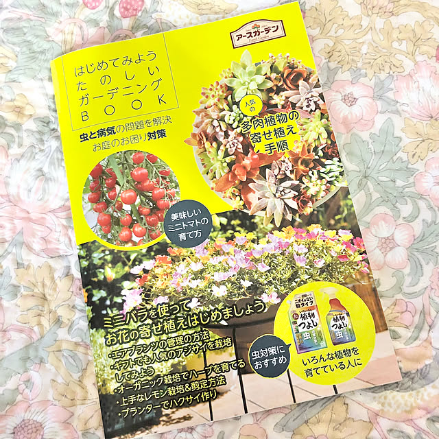 Chigusaさんの部屋