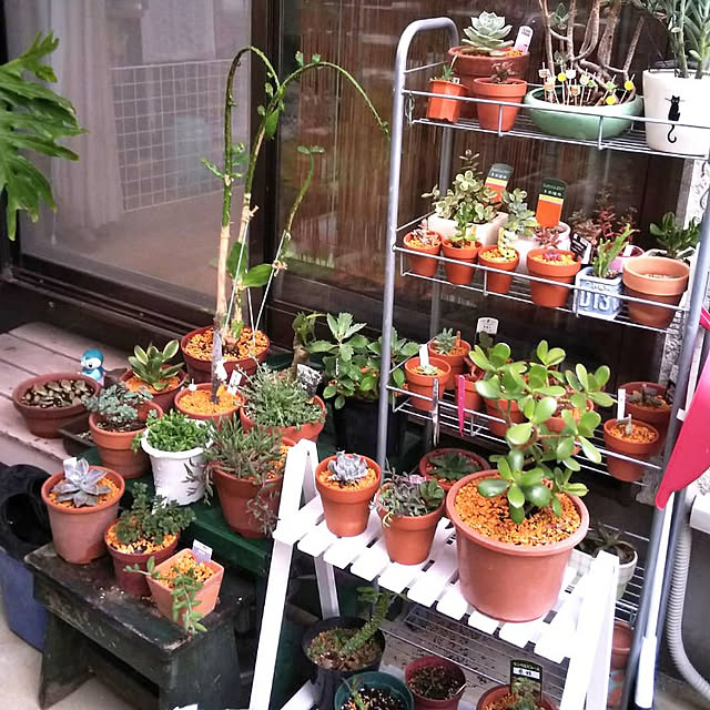 chiikokunさんの部屋