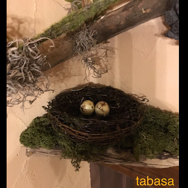 tabasaさんの実例写真