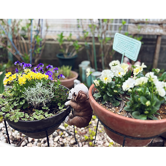 CoCo0617さんの実例写真