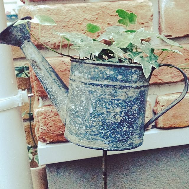 tanikunosukeさんの実例写真