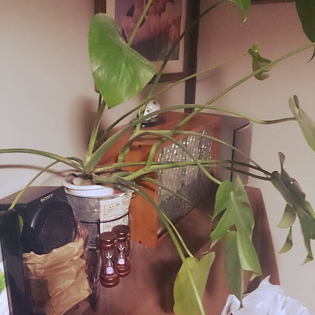 Ritaさんの実例写真