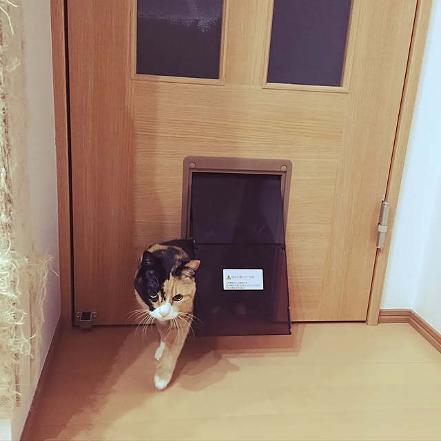 meguchiyoさんの実例写真