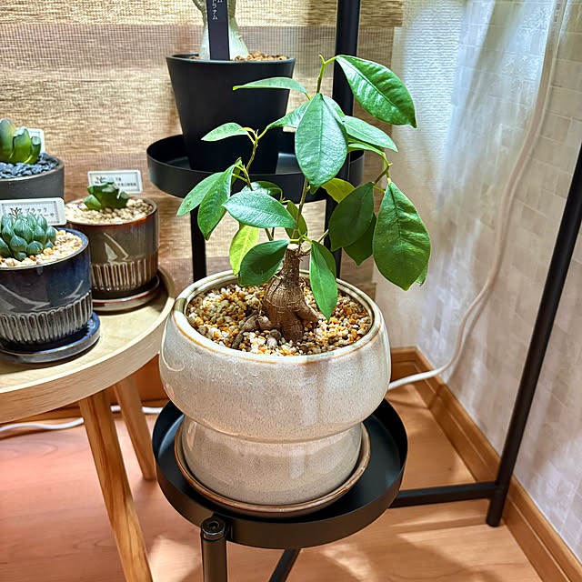 CoffeeHouseさんの実例写真