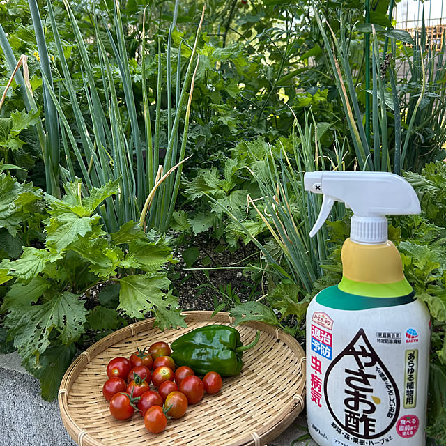 asさんの実例写真