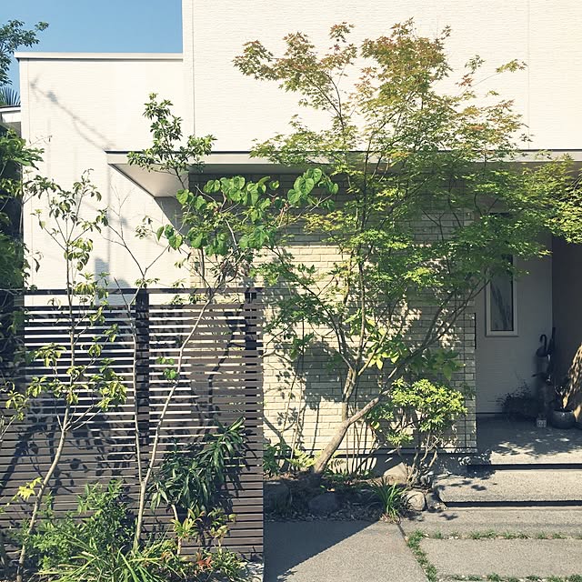 haruさんの実例写真