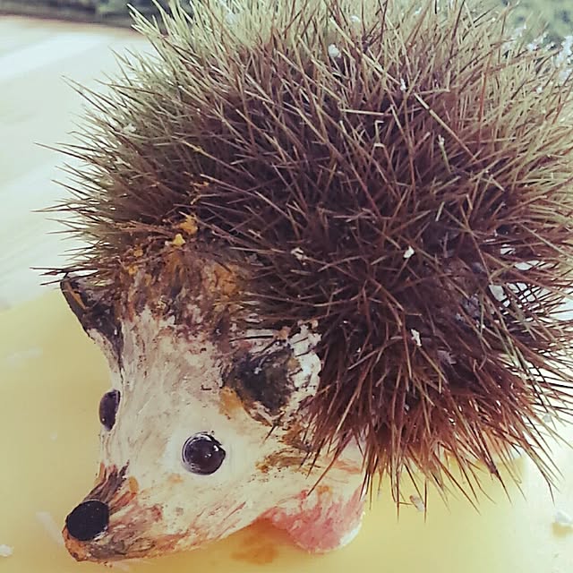seiさんの実例写真