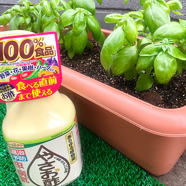 full.of_fun.mayuponさんの部屋