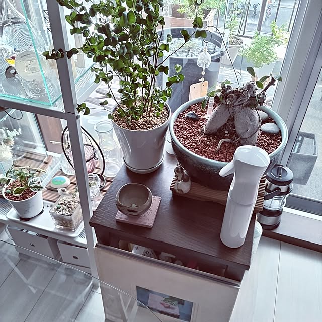 mi-saさんの部屋