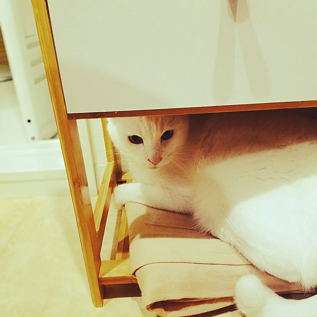 keikomokonさんの実例写真