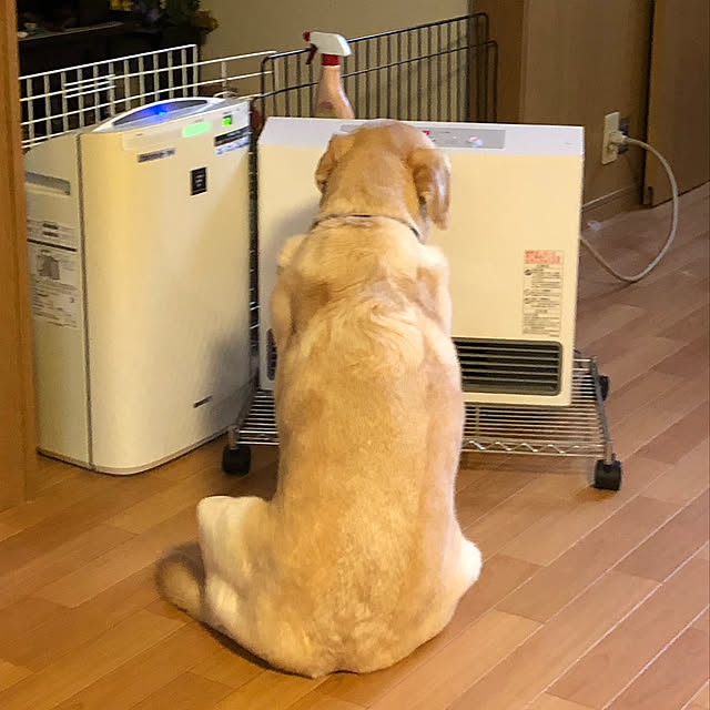sarahemmaさんの実例写真