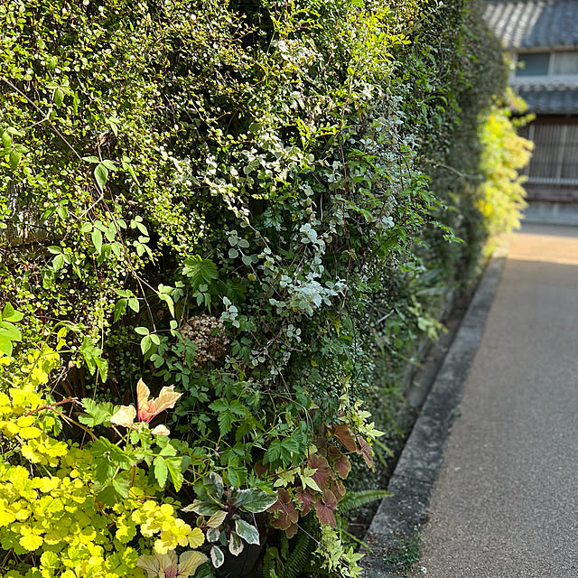 実例写真
