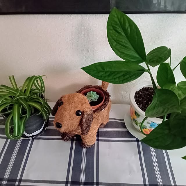 moruさんの部屋