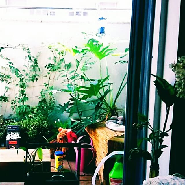 shironosukeさんの実例写真