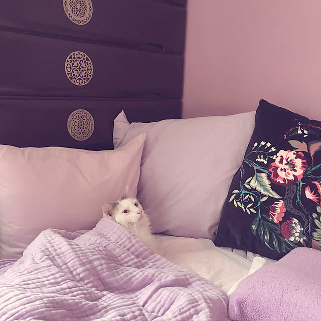 nakayoshinyankoさんの実例写真