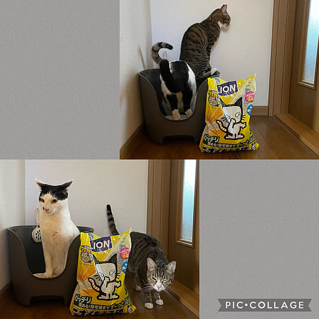 nobikoさんの実例写真