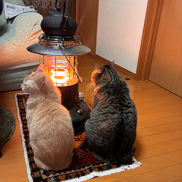 mikan161さんの実例写真