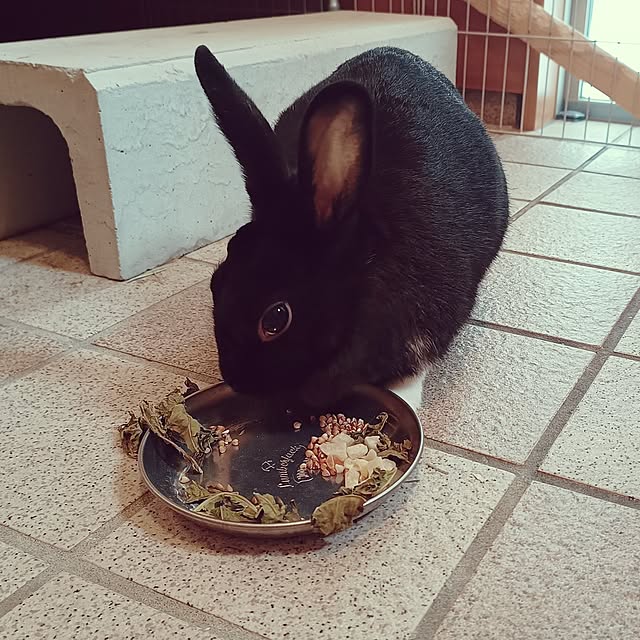 soyokoさんの実例写真