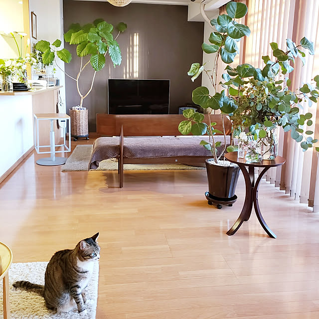 mitu_masaoさんの実例写真
