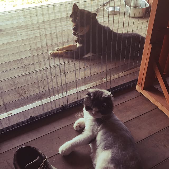 kingblkさんの実例写真