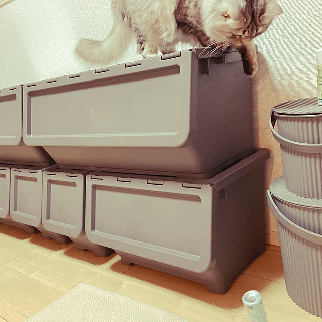 kkkさんの部屋