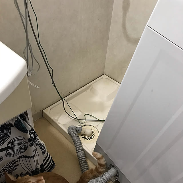 misamisa1113さんの実例写真