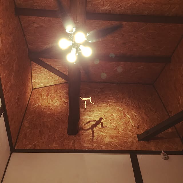 実例写真