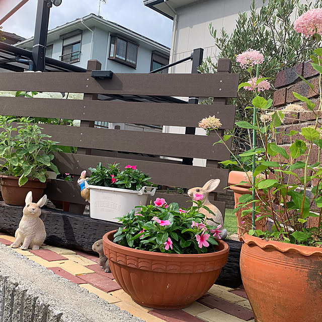 Micchanさんの部屋