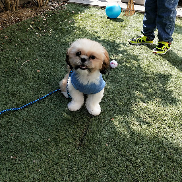 dadanさんの実例写真