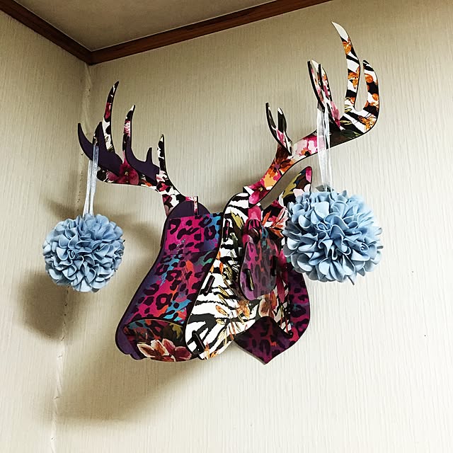 Asamiさんの実例写真