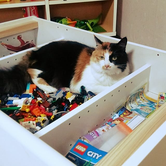 kiyohima229さんの実例写真