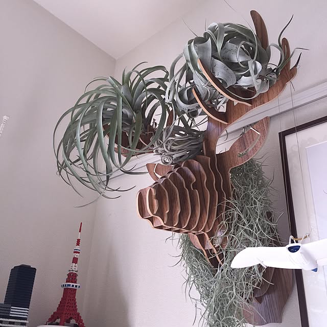 abetomooooooさんの実例写真