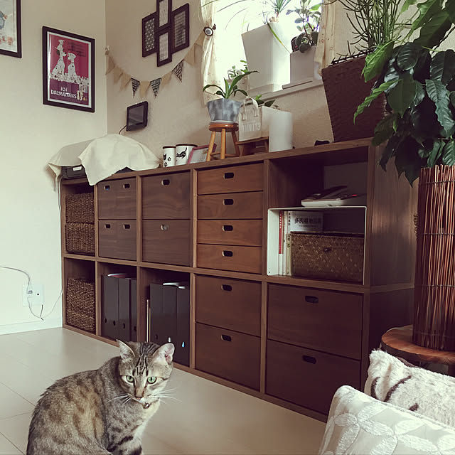 kirinさんの実例写真