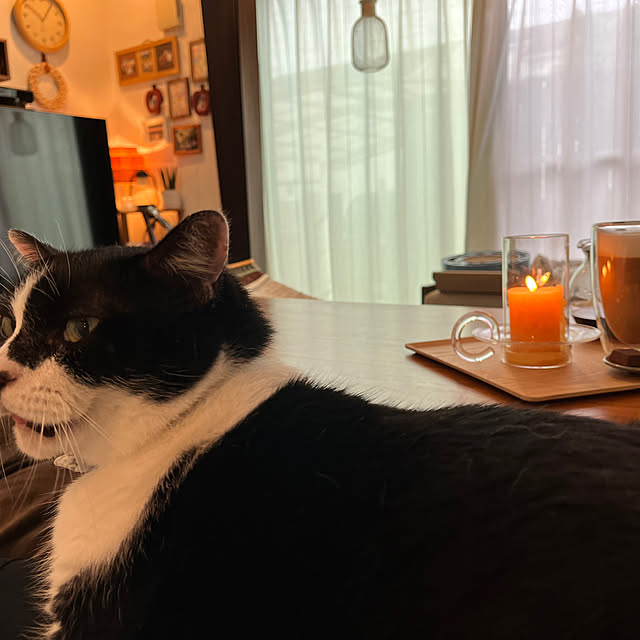 kojimasaさんの部屋