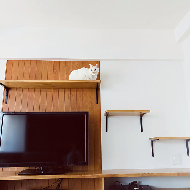 hakukouyuさんの実例写真