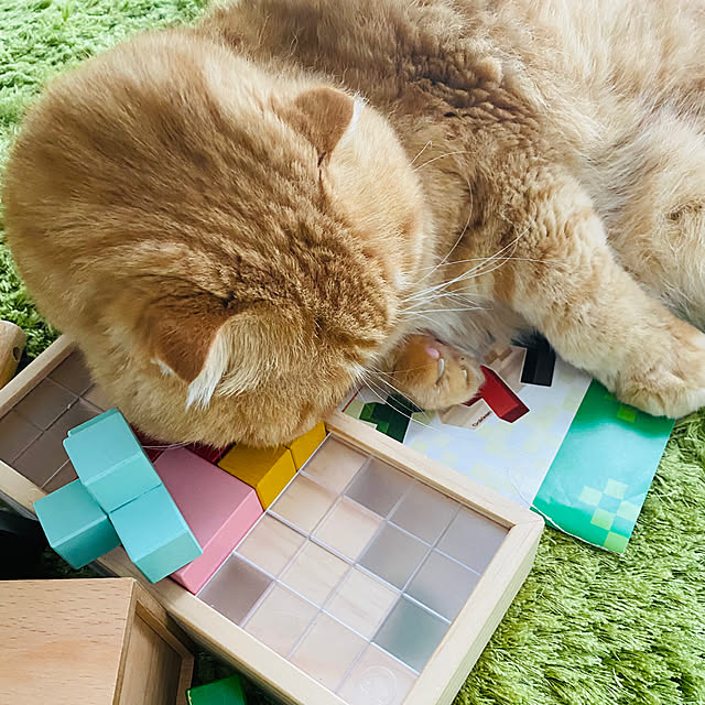 Mahoさんの部屋