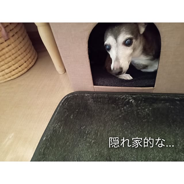 moruさんの部屋
