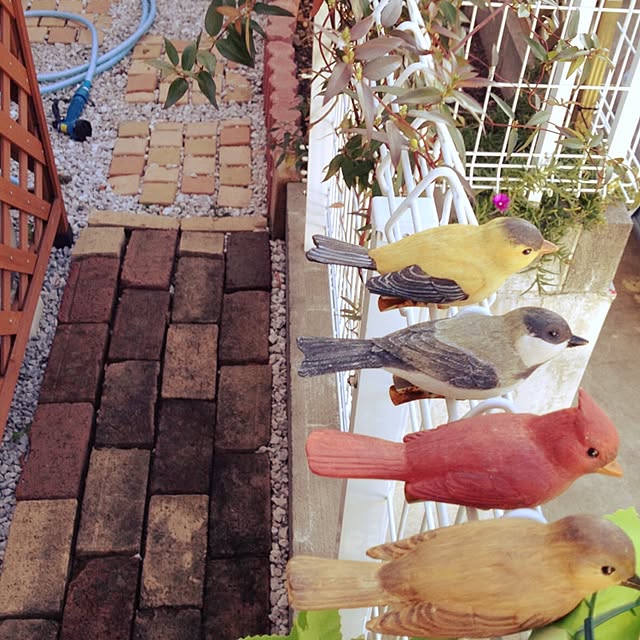 aiさんの実例写真