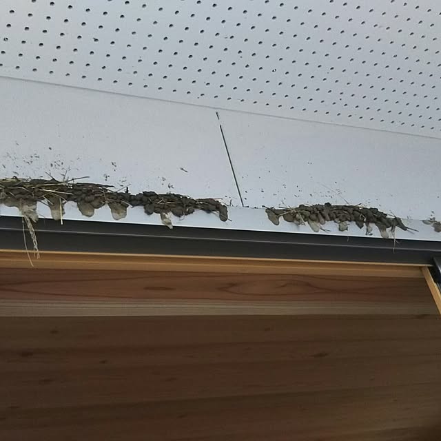 rucagonさんの実例写真